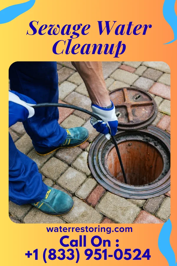 Sewage Water Cleanup in Gilliam, MO